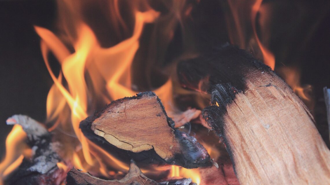 Welches Holz eignet sich am besten für den Kamin?